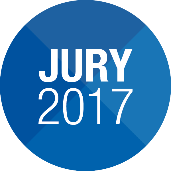pictos-jury2017.png